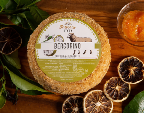 Formaggio pecorino al bergamotto Bergorino